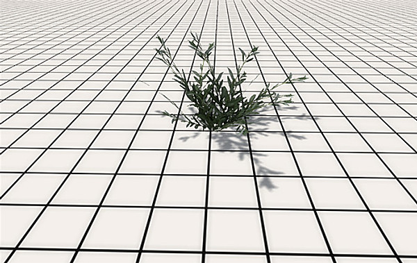 afghan vegetation 24 tree 3d max - 24 Afghan Vegetation Models by pure3dviz